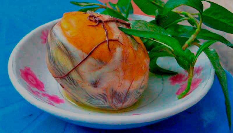 Balut comida exótica china